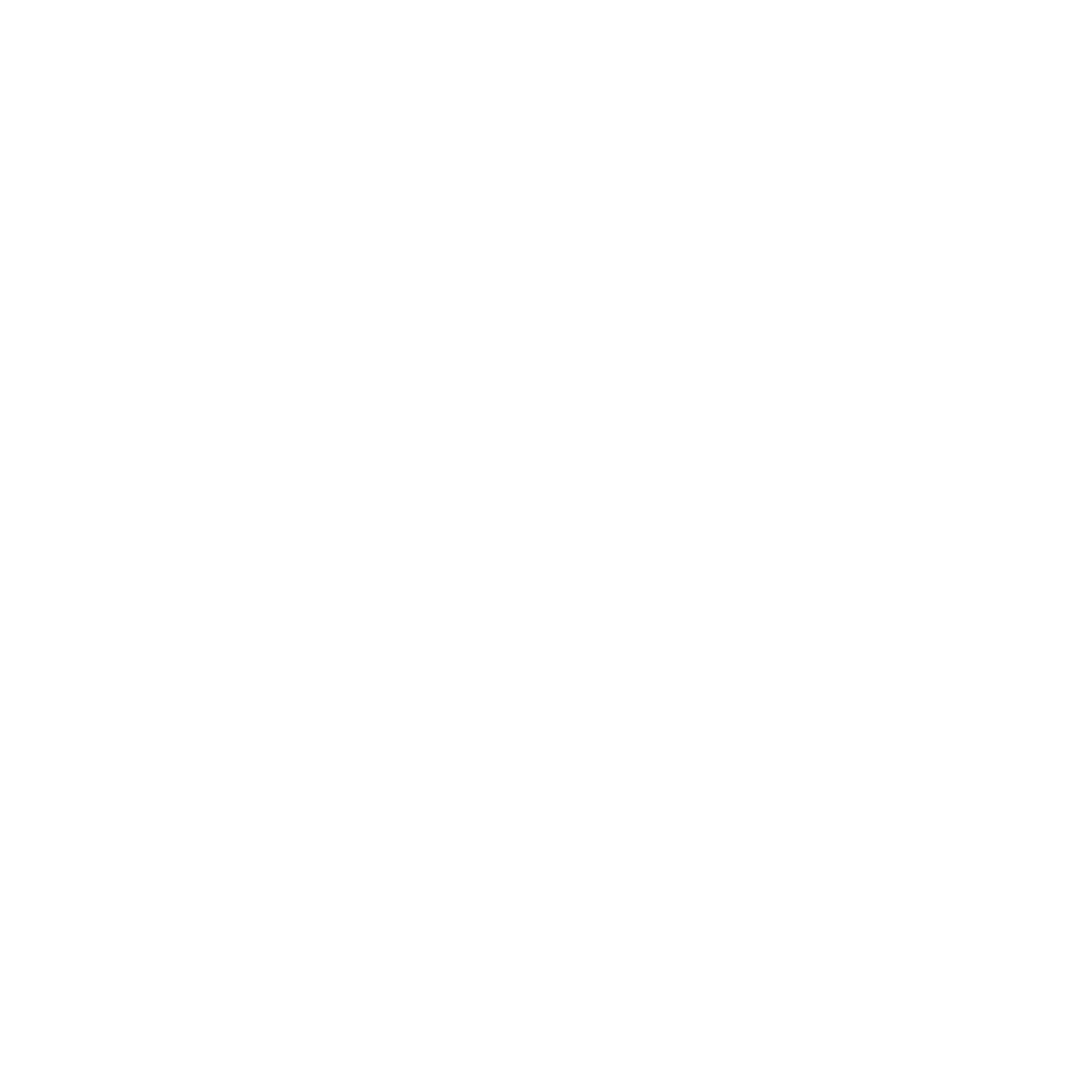 district_logo_white_2